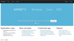 Template project running on Windows Azure Pack